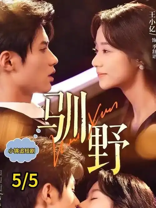 久久精品视频高分剧集夜巡者档案海报